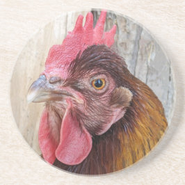 Porta-copos Red Chicken Hen Photo