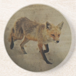 Porta-copos Red Fox Vixen - Island Beach State Park - NJ