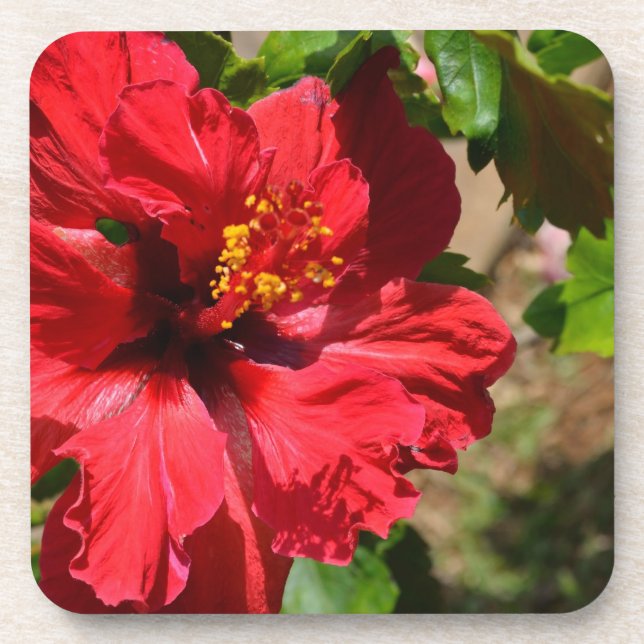 Porta copos Red Hibiscus Cork (Frente)