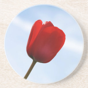 Porta copos Red Tulip