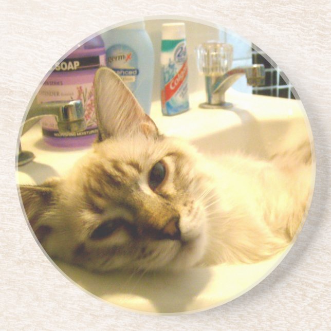 porta copos relaxed do gatinho (Frente)