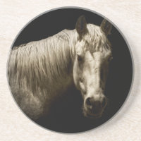 Retrato de Cavalo VI