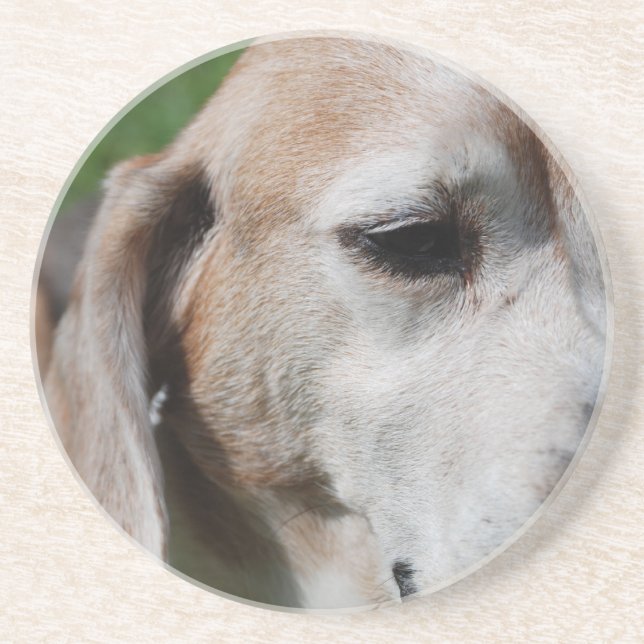 Porta-copos retrato do beagle (Frente)