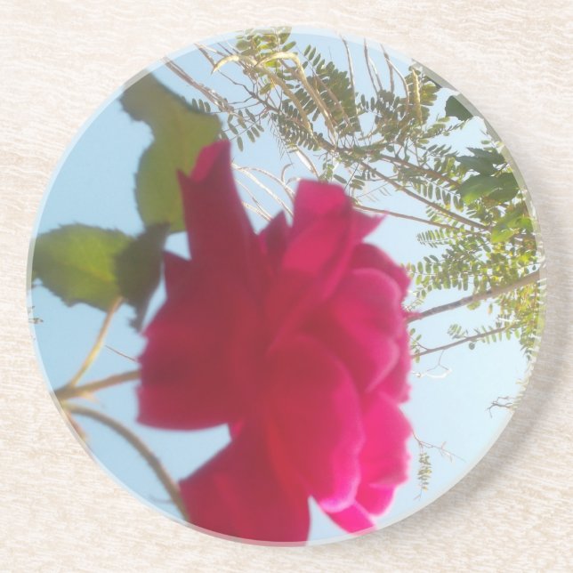 Porta-copos Retrô Grito Hakuna Matata Gift Blue Red SKY (Frente)