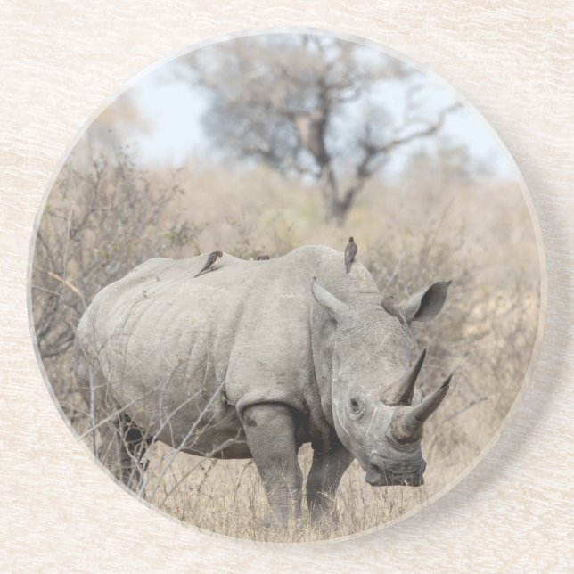 Porta-copos Rhino Branco (Frente)