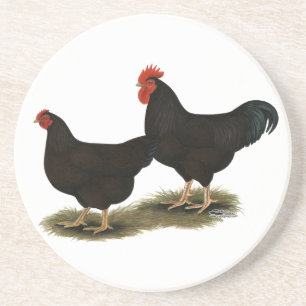 Porta-copos Rhode Island Red Bantams
