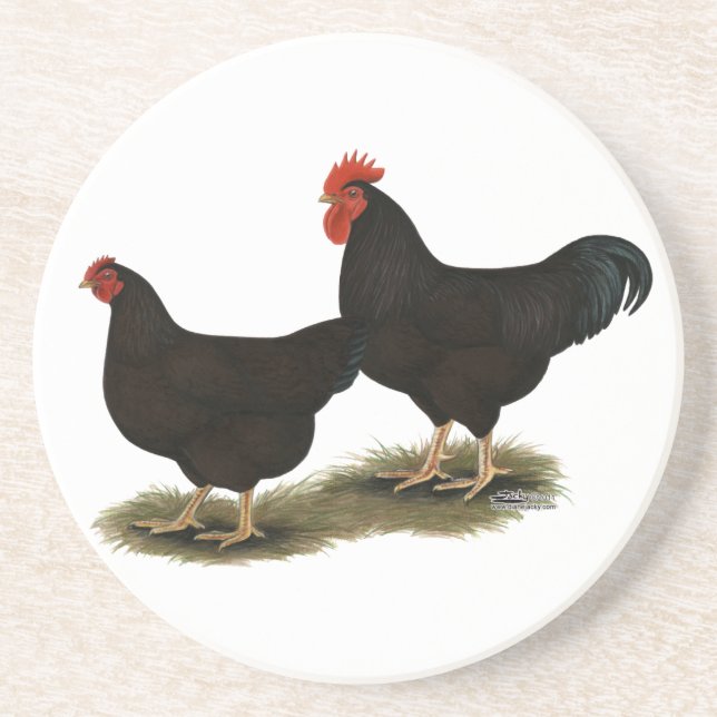 Porta-copos Rhode Island Red Bantams (Frente)
