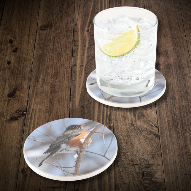 Porta-copos Robin Americano Bonito Senta-se no Ramal de Snowy  (If Dad is a birder, celebrate his hobby with this coaster that makes a unique Father's Day gift.)