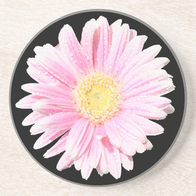 Porta copos Rosa Gerbera Daisy Sandstone (Frente)