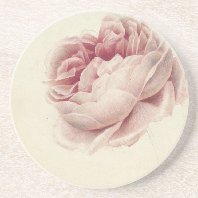 Porta-copos Rosa Roos (1792) – Arte Botânica Antiga Atemporal (Frente)