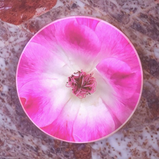 Porta-copos Rosas de Iceberg rosa (Criador carregado)