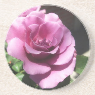 Porta-copos Rosas Moradas 1