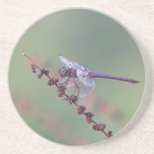 Porta-copos Róseato espumante (Frente)