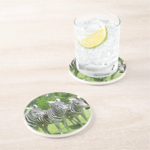 Safari Serenity: Três Zebras Lion Country Safari