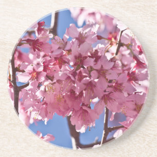 Porta-copos Sakura Cherry Blossoms Red Stars