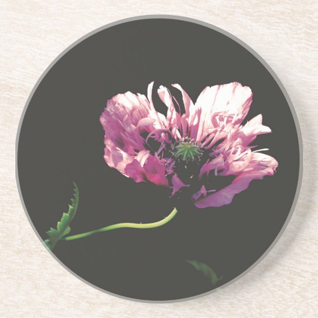 Porta copos Sandstone (Frente)