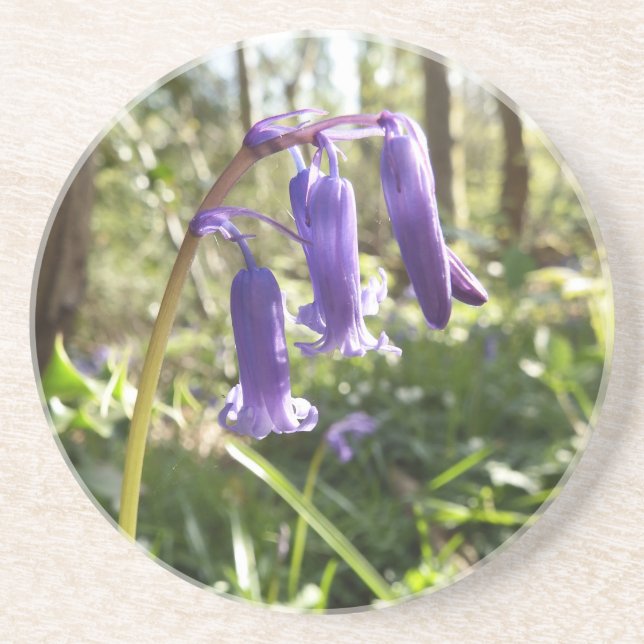 Porta copos Sandstone Bluebells (Frente)