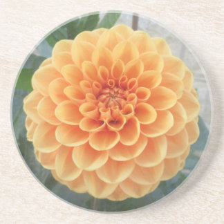 Porta copos Sandstone Orange Dahlia
