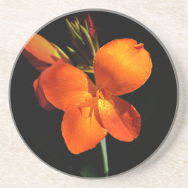 Porta copos Sandstone Orquídea Dazzling