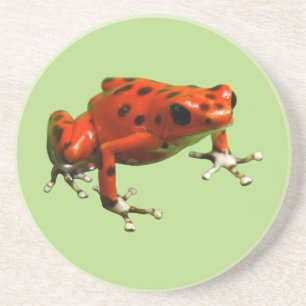 Porta-copos Sapo Red Poison Dart