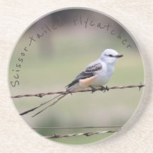 porta copos Scissor-atada do Flycatcher