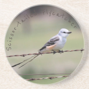 porta copos Scissor-atada do Flycatcher