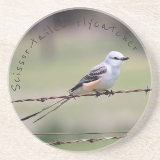 porta copos Scissor-atada do Flycatcher