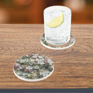 Porta-copos Sedum Spathulifolium Succulium Floral