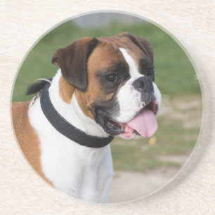 Porta-copos Sentado do Boxer