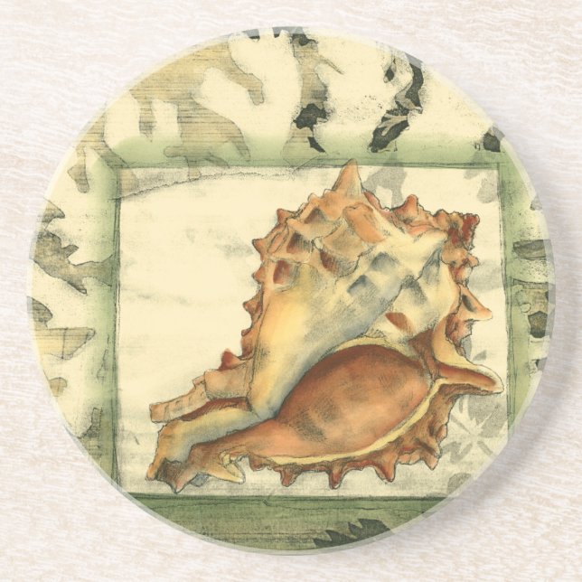 Porta-copos Shell de Conch Silhout (Frente)