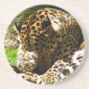 Porta-copos Shy Leopard