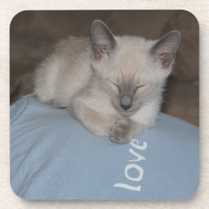 Porta copos Siamese do gatinho