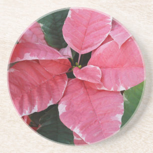 Porta-copos Silver Star Marble Poinsettias Feriado Rosa Floral