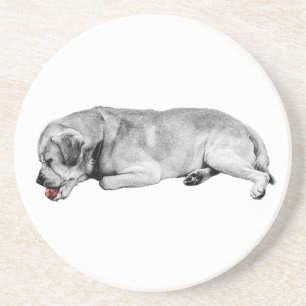 Porta-copos Sip Gentil, Pequeno Spark