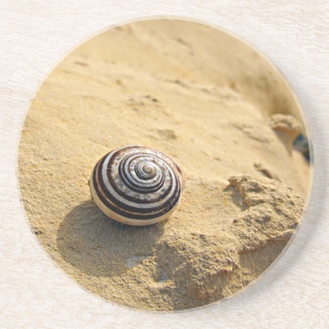 Porta-copos Snail Shell on Sand (Frente)