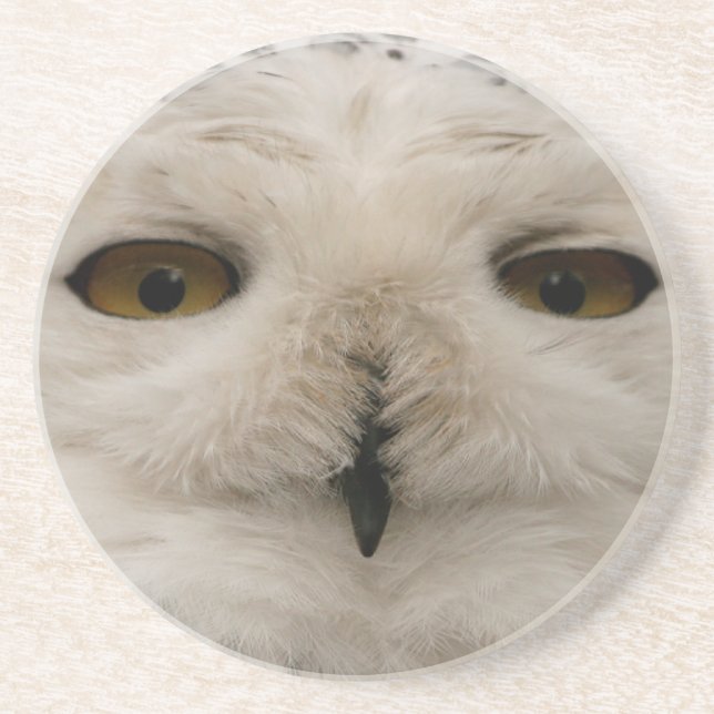 Porta-copos Snowy Owl (Frente)