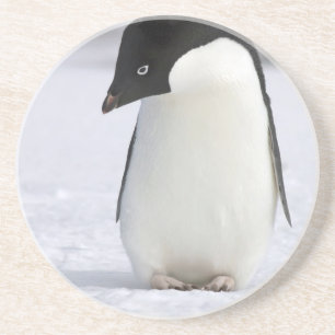 Porta copos só do pinguim