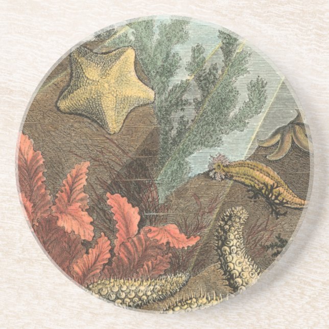 Porta-copos Sob o mar (Frente)