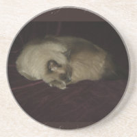 Soneca de gato