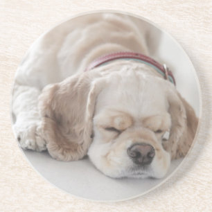 Porta-copos Sono do cão de cocker spaniel