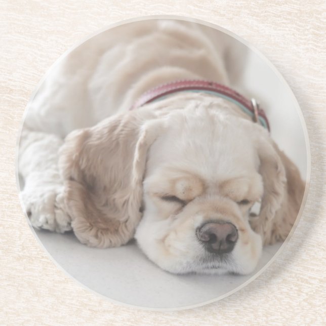 Porta-copos Sono do cão de cocker spaniel (Frente)