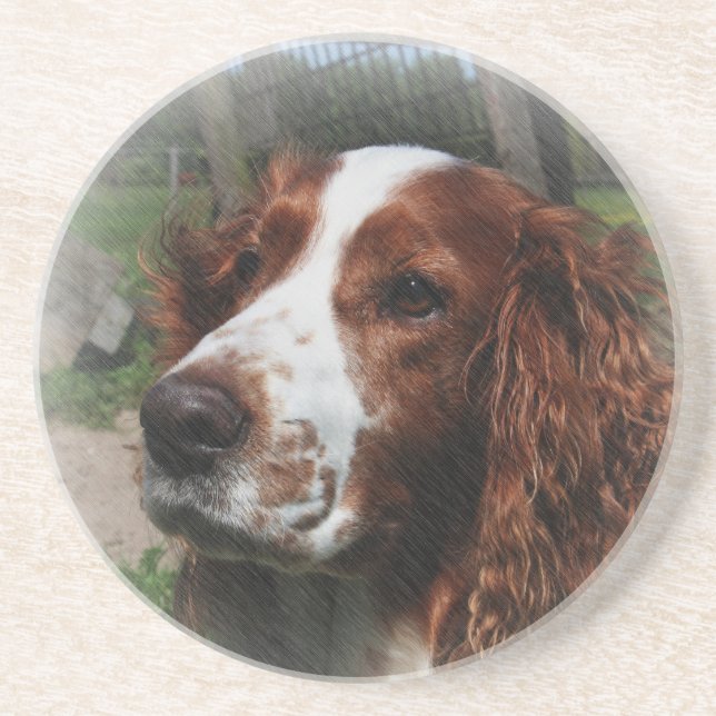 Porta-copos Springer Spaniel Dog Art (Frente)