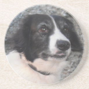 Porta copos Sprollie Smiling