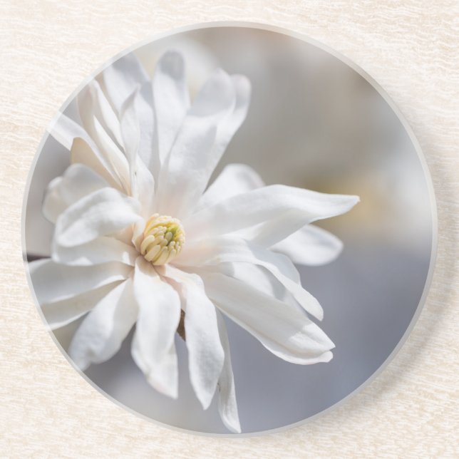 Porta-copos Star Magnolia Bloom (Frente)