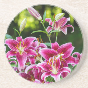 Porta-copos Stargazer Lily
