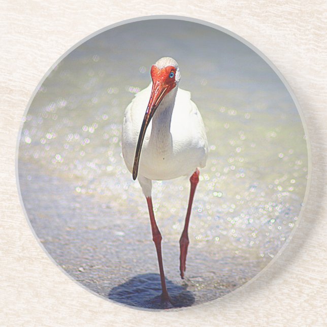 Porta-copos Strut De Ibis Branco (Frente)