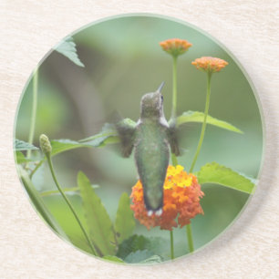 Porta-copos Summer Hummer