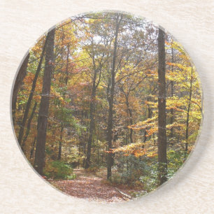 Porta-copos Sunlit Fall Trail no Parque Estadual de Laurel Hil
