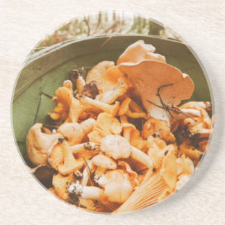 Porta-copos Swedish Archipelago Mushroom Foraging Photo