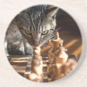 Porta-copos Tabby Cat Playing Chess